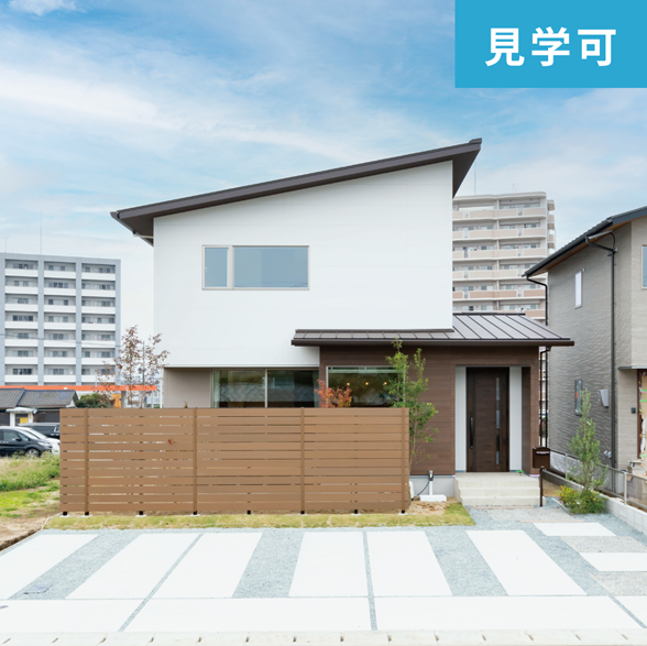 アネシス 家