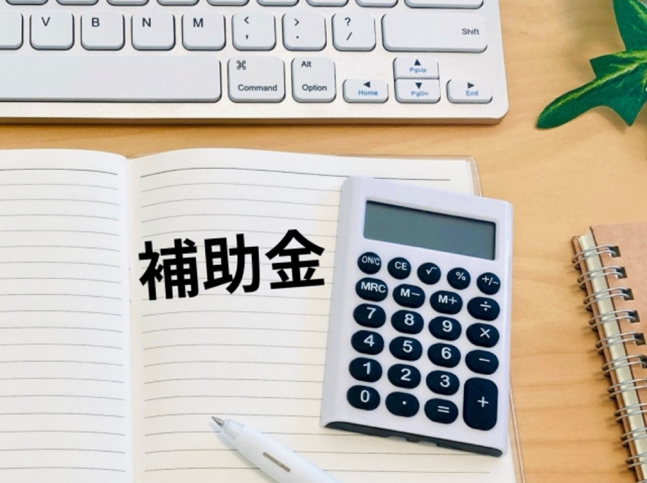補助金 資産価値