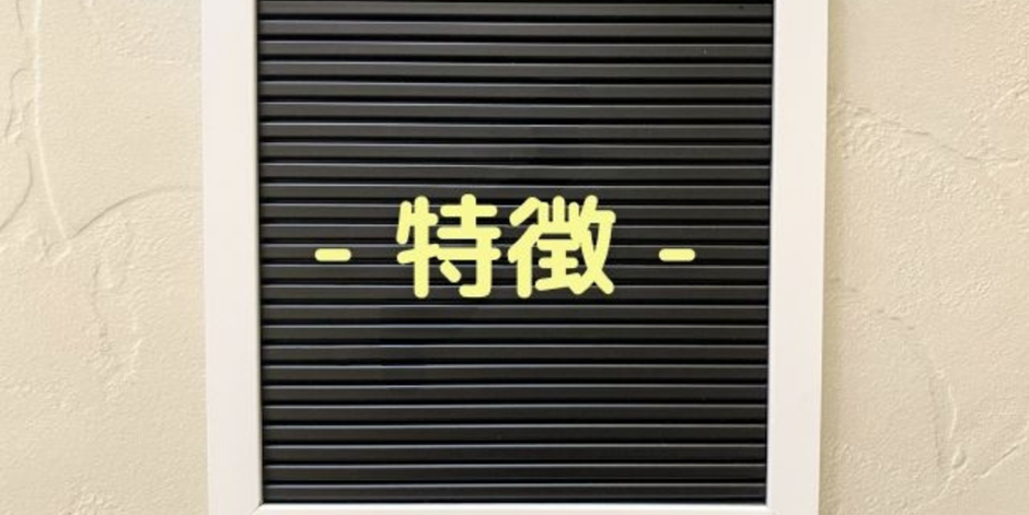 黒地に黄色で「- 特徴 -」と書かれたボード、白枠付き