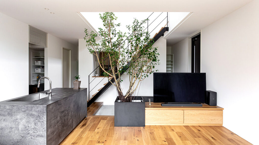 吹き抜け空間にシンボルツリーがある家